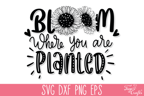 Bloom where You are Planted SVG Quote | Inspirational SVG Cut Files - Image 2