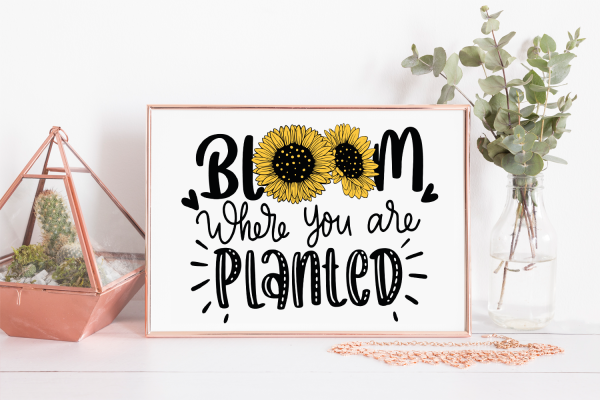 Bloom where You are Planted SVG Quote | Inspirational SVG Cut Files - Image 4