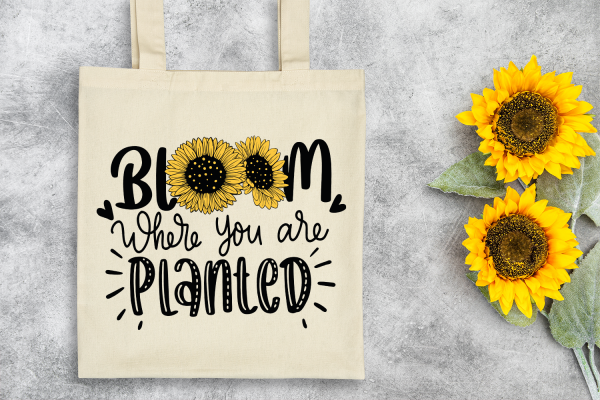 Bloom where You are Planted SVG Quote | Inspirational SVG Cut Files - Image 5